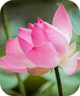 U.N様 (60代女性)